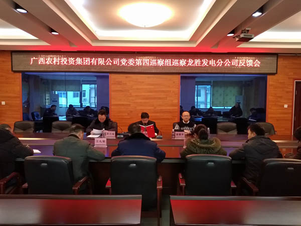 1.農(nóng)投集團(tuán)黨委第四巡察組向龍勝發(fā)電分公司反饋巡察情況.jpg