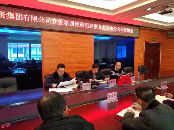 2.農(nóng)投集團(tuán)黨委第四巡察組向龍勝發(fā)電分公司反饋巡察情況.jpg