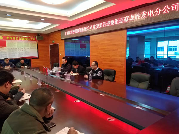 3.農(nóng)投集團(tuán)黨委第四巡察組向龍勝發(fā)電分公司反饋巡察情況.jpg