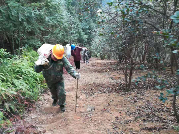 1611753877242424.png image.png