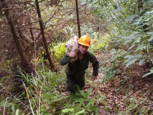 1611754306659032.png image.png